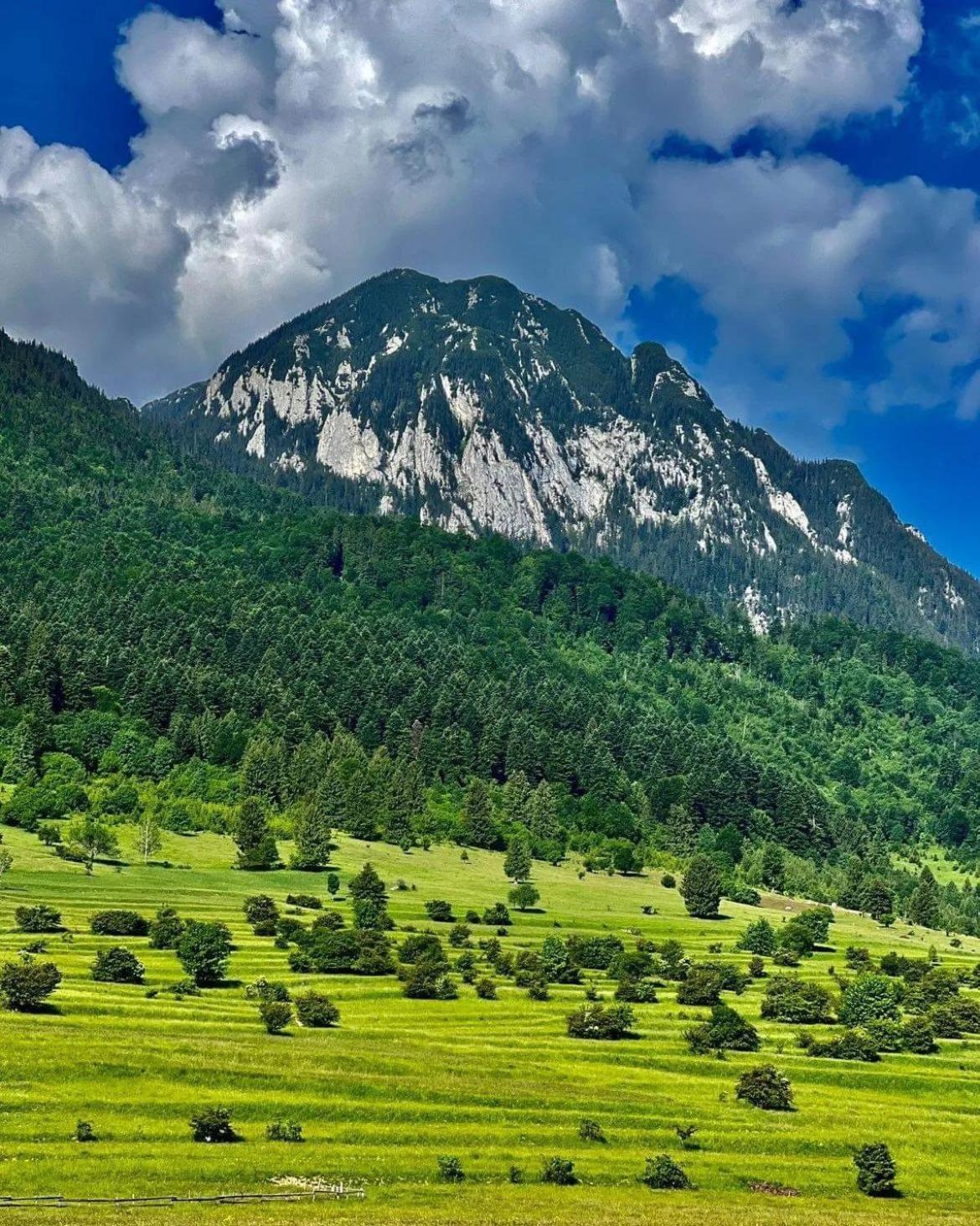 Cazare Zorilor Zărneşti Pokój zdjęcie