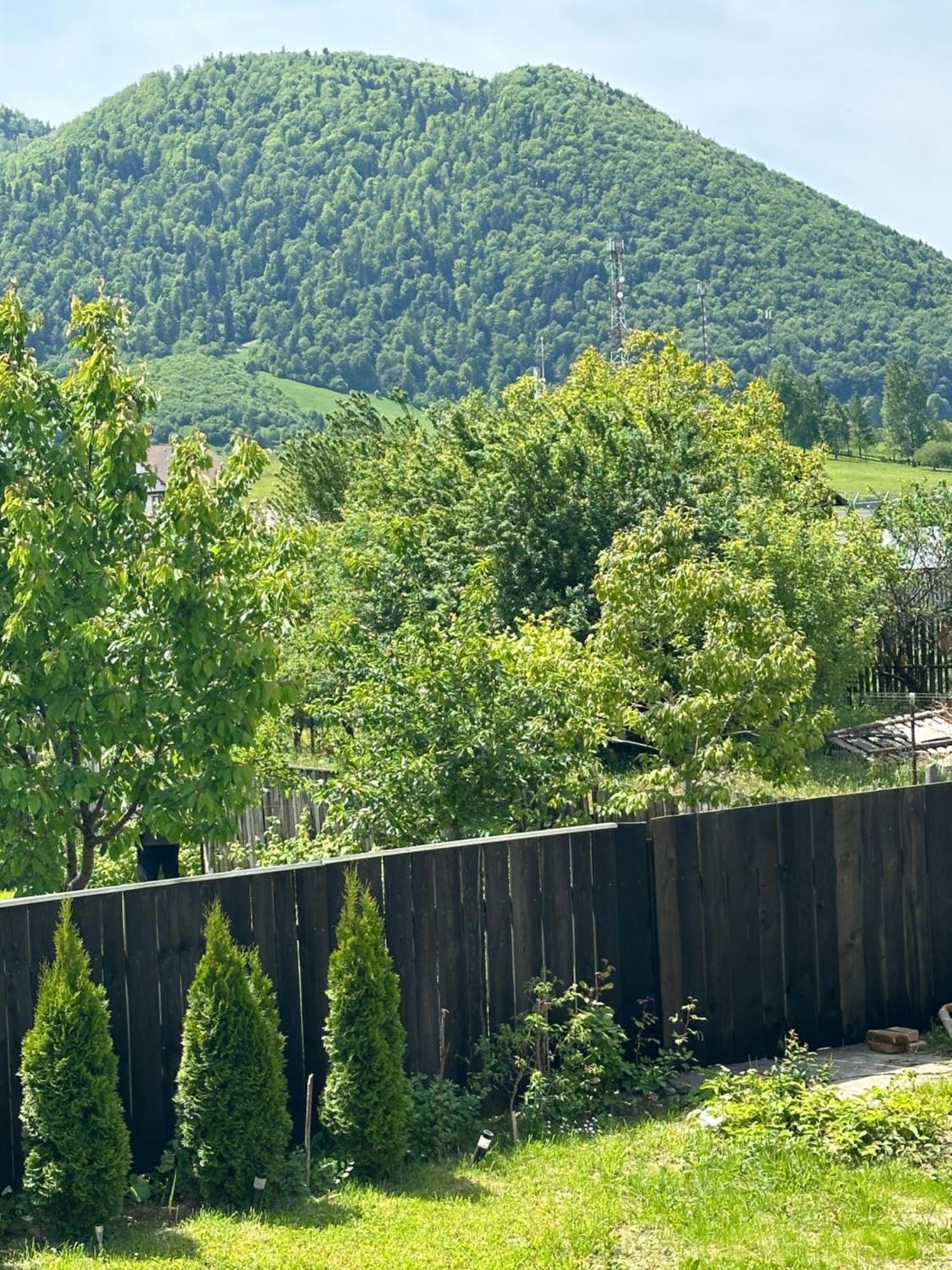 Cazare Zorilor Zărneşti Pokój zdjęcie