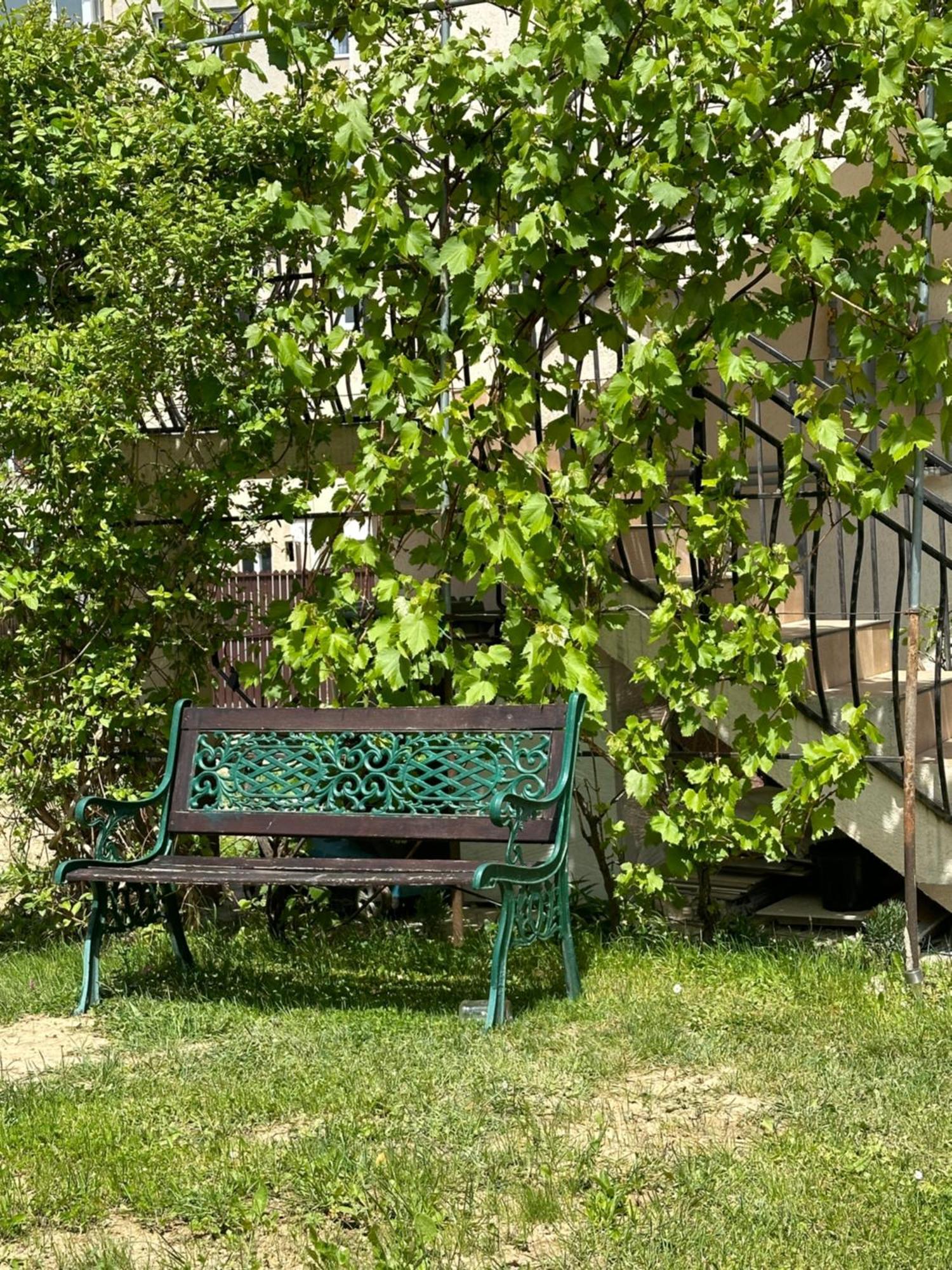 Cazare Zorilor Zărneşti Pokój zdjęcie